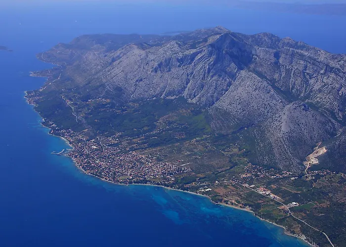 Domestic אורביץ