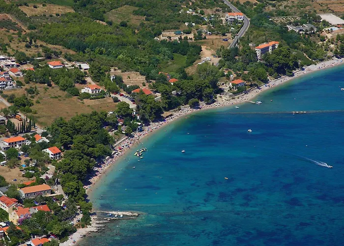 Domestic אורביץ