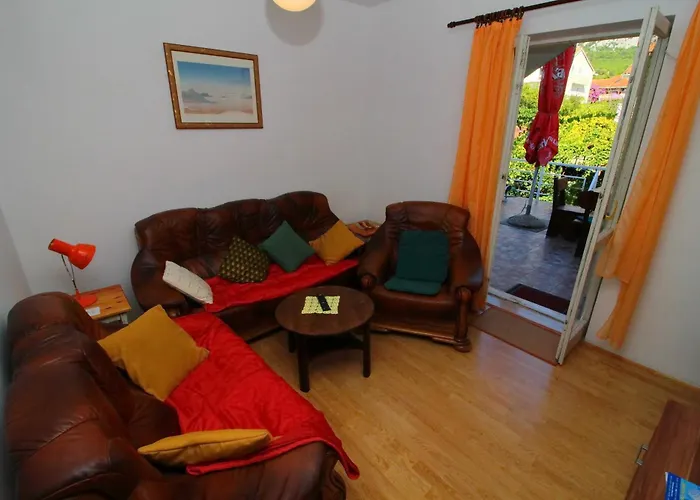 Domestic * אורביץ