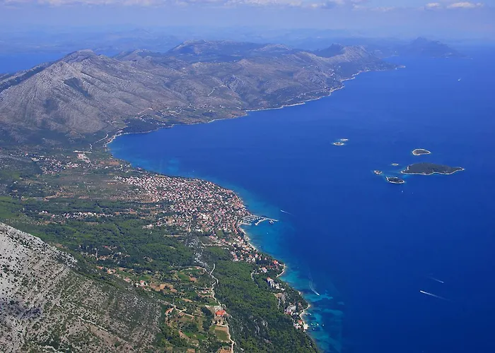 Domestic אורביץ