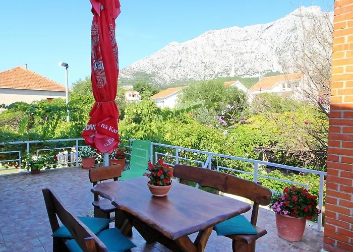 Domestic * אורביץ